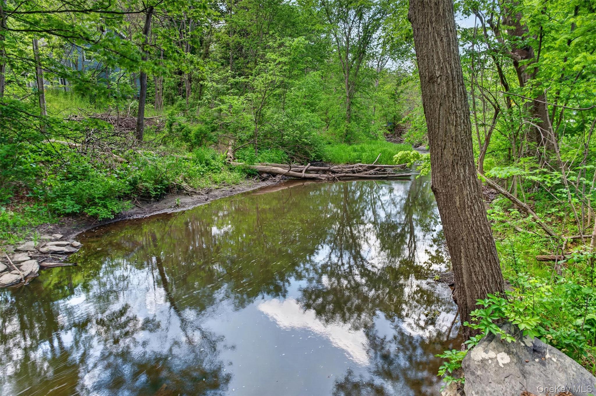 815 Craigville Road Chester, NY 10918 - Photo 48 of 50