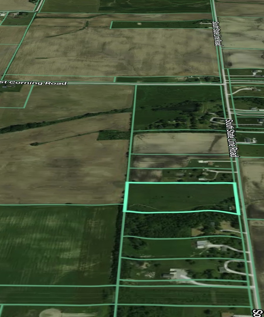 31506 South State Line Road Beecher, IL 60401 - Photo 3 of 12