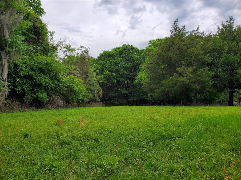 189 Northeast Ne Lane Citra, FL 32113 - Photo 1 of 1 Cleared Area