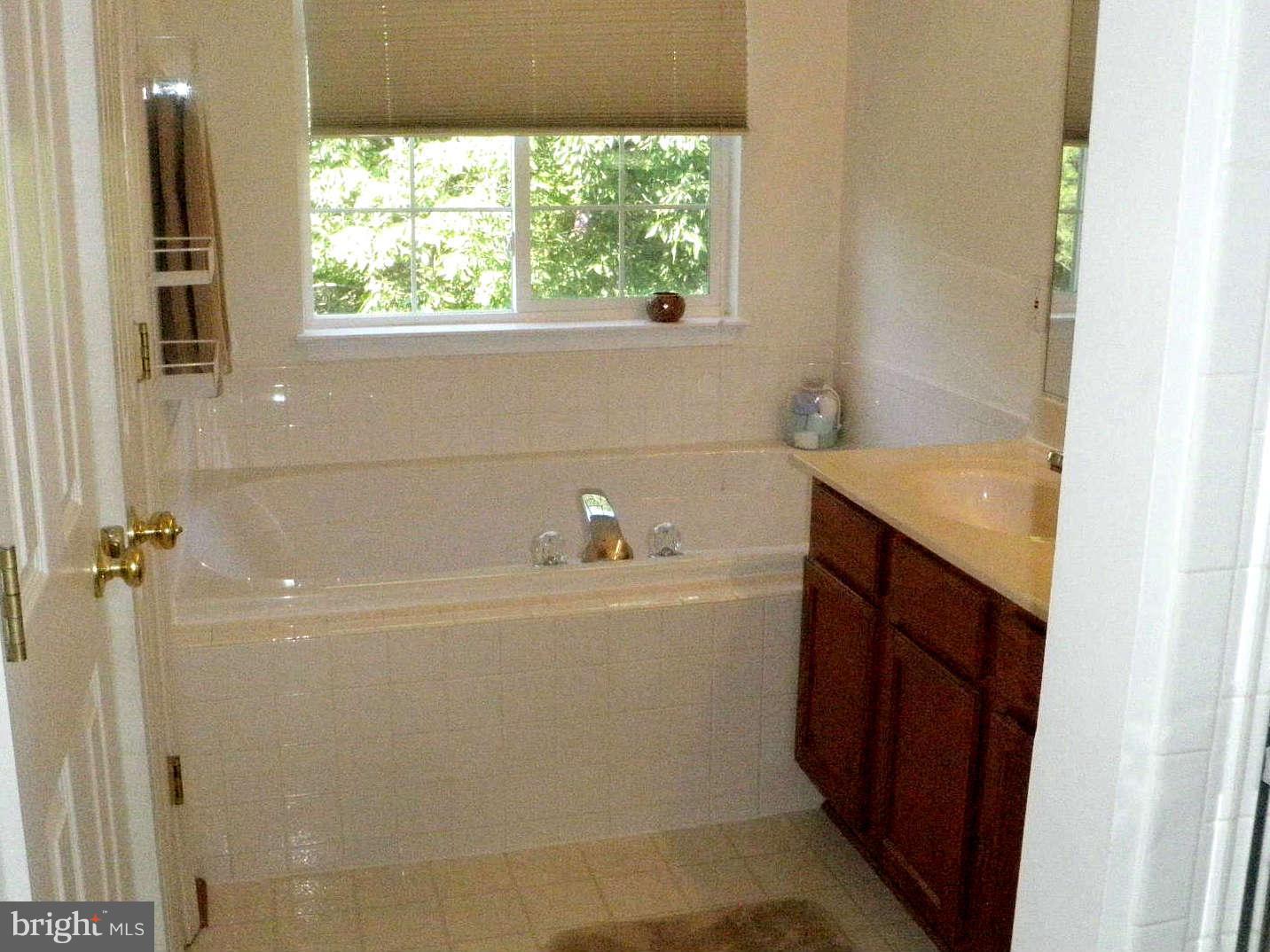 8231 Ramseur Place Manassas, VA 20109 - Photo 11 of 19 Large Soaking Tub