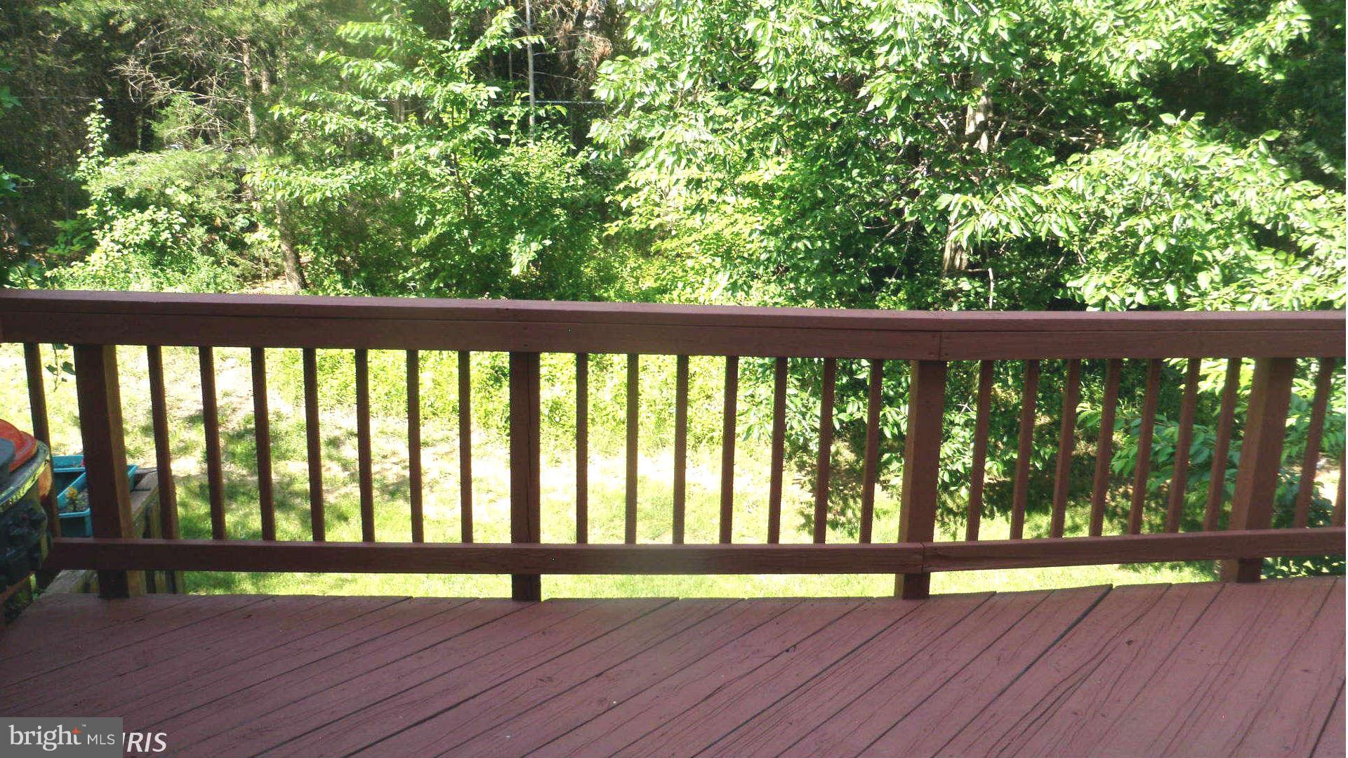 8231 Ramseur Place Manassas, VA 20109 - Photo 19 of 19 Backs to Trees