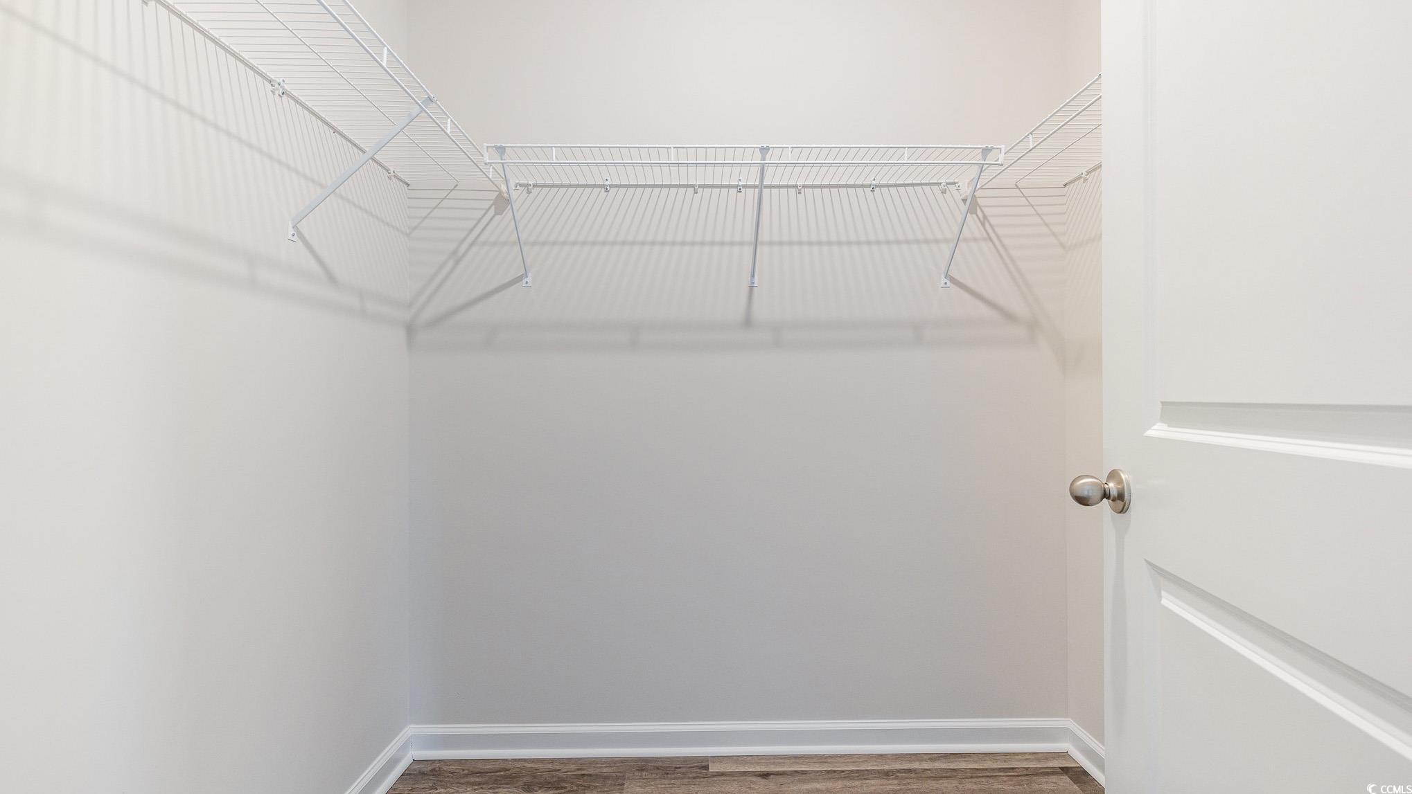 592 Duvall Street Longs, SC 29568 - Photo 19 of 28 Walk in closet featuring light wood-style floors