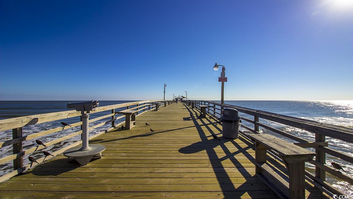 592 Duvall Street Longs, SC 29568 - Photo 26 of 28