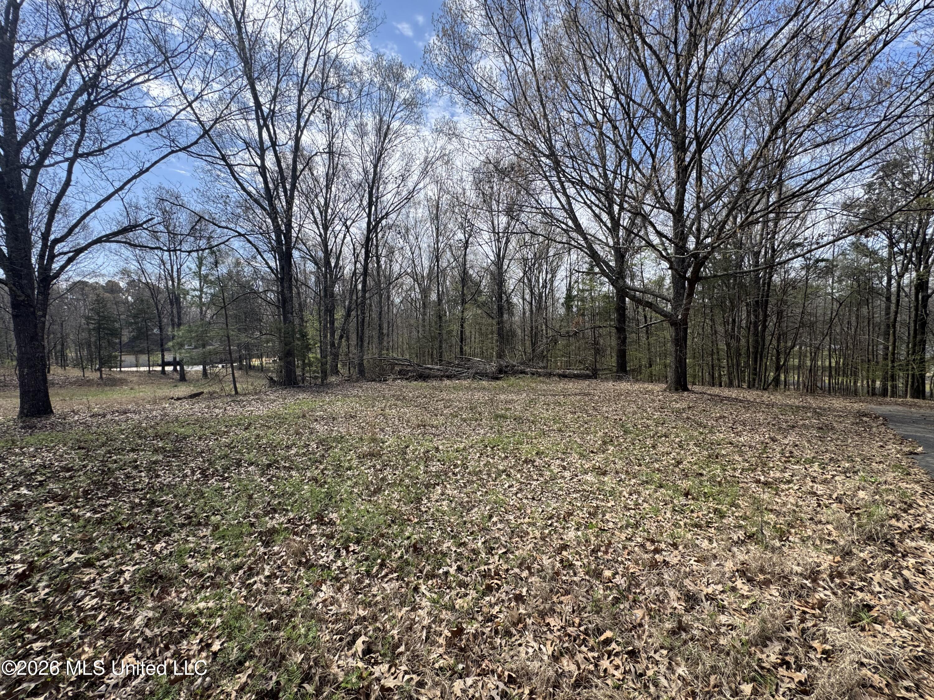 0 Steele Road Hernando, MS 38632 - Photo 6 of 7 IMG_4925