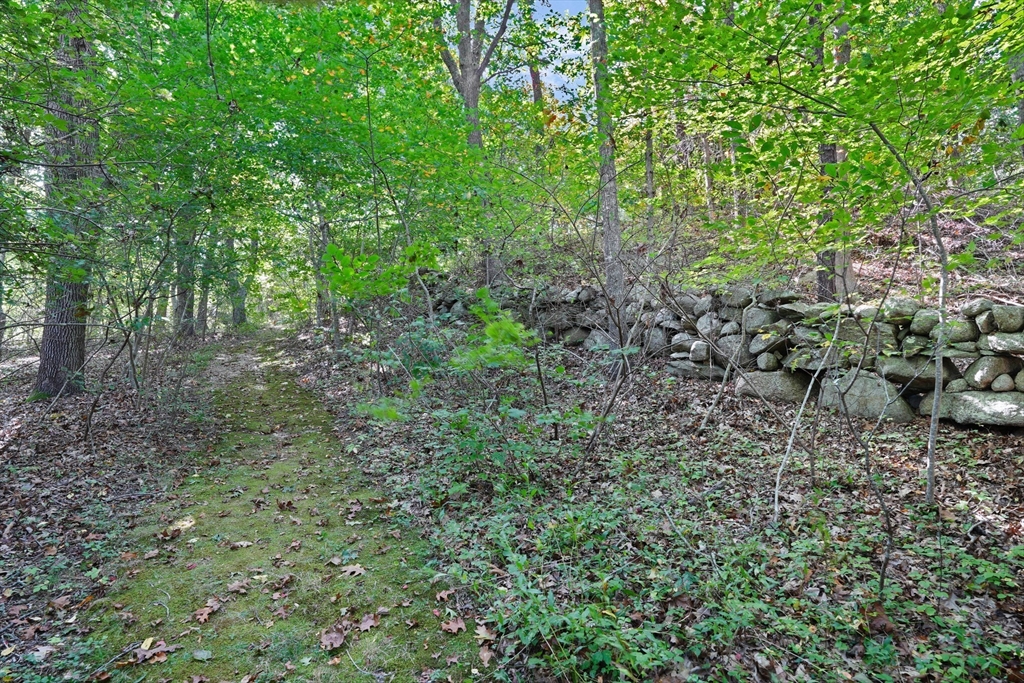 21-25 Fulling Mill Road Chilmark, MA 02535 - Photo 28 of 42 Gallery Image 28