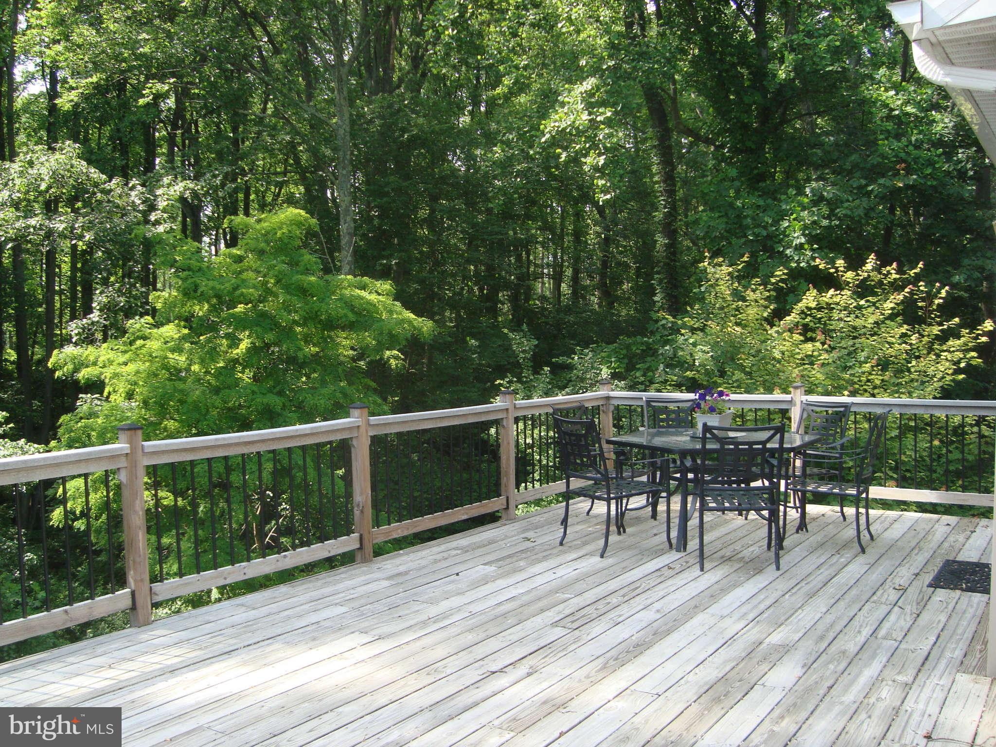 1901 Wilson Road White Hall, MD 21161 - Photo 4 of 26 a view of a dinning table and chairs on the roof deck