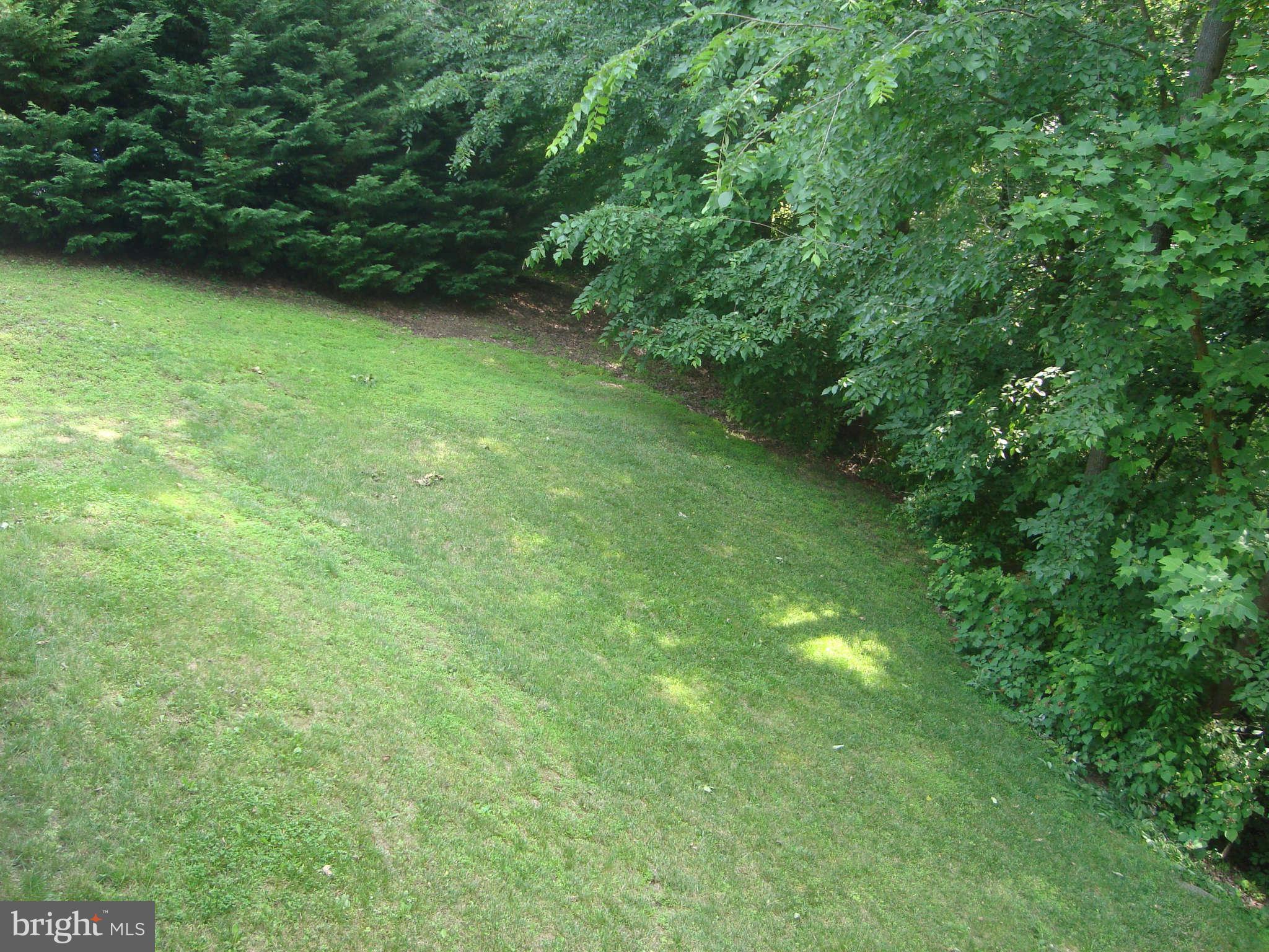 1901 Wilson Road White Hall, MD 21161 - Photo 5 of 26 a view of a green yard