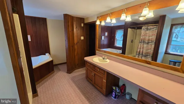 a bathroom with a sink and toilet