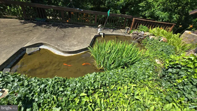 a view of swimming pool from a balcony