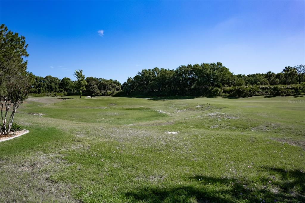 15143 Southwest 14th Avenue Road Ocala, FL 34473 - Photo 42 of 53 a view of a field with an trees in the background
