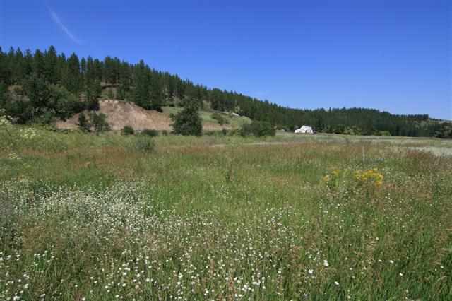 0 South Hangman Valley Road Spokane, WA 99224 - Photo 12 of 19 Gallery Image 12