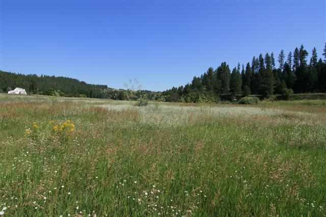 0 South Hangman Valley Road Spokane, WA 99224 - Photo 13 of 19 Gallery Image 13