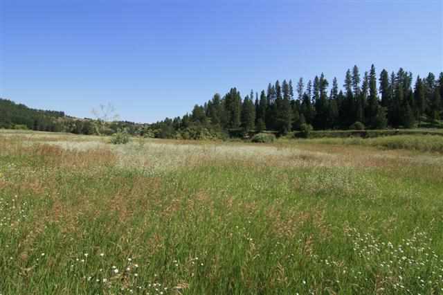 0 South Hangman Valley Road Spokane, WA 99224 - Photo 14 of 19 Gallery Image 14
