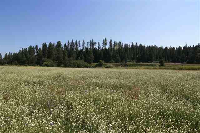 0 South Hangman Valley Road Spokane, WA 99224 - Photo 15 of 19 Gallery Image 15