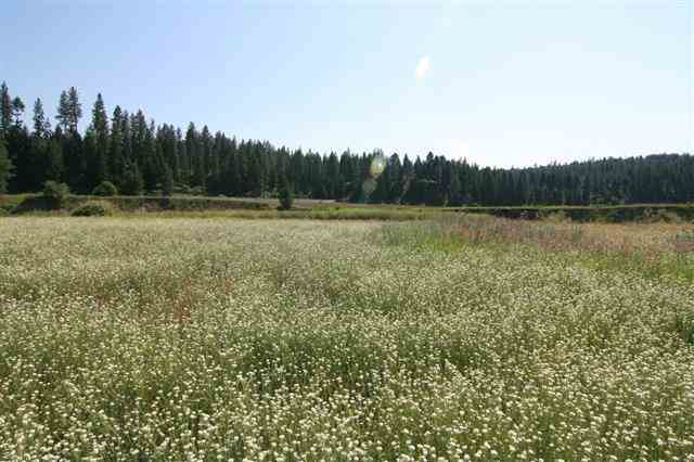 0 South Hangman Valley Road Spokane, WA 99224 - Photo 16 of 19 Gallery Image 16