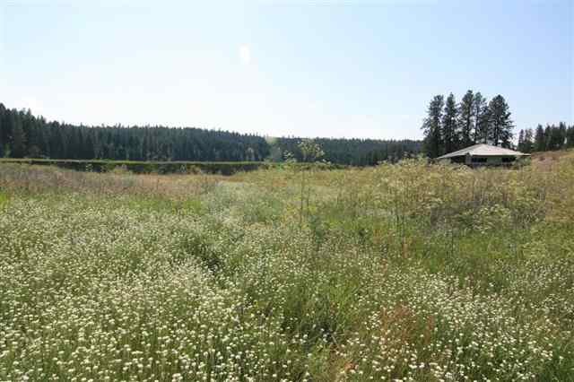 0 South Hangman Valley Road Spokane, WA 99224 - Photo 18 of 19 Gallery Image 18