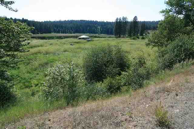 0 South Hangman Valley Road Spokane, WA 99224 - Photo 3 of 19 Gallery Image 3