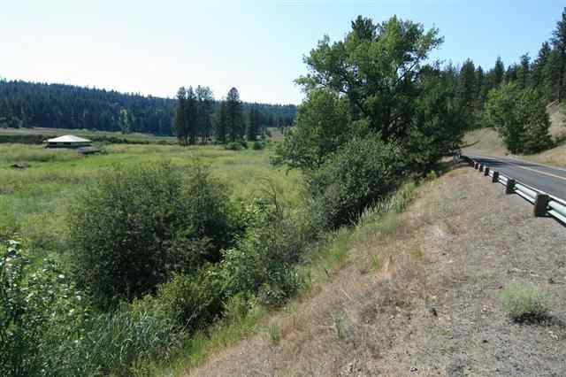 0 South Hangman Valley Road Spokane, WA 99224 - Photo 4 of 19 Gallery Image 4