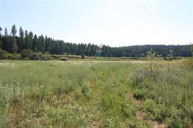 0 South Hangman Valley Road Spokane, WA 99224 - Photo 6 of 19 Gallery Image 6