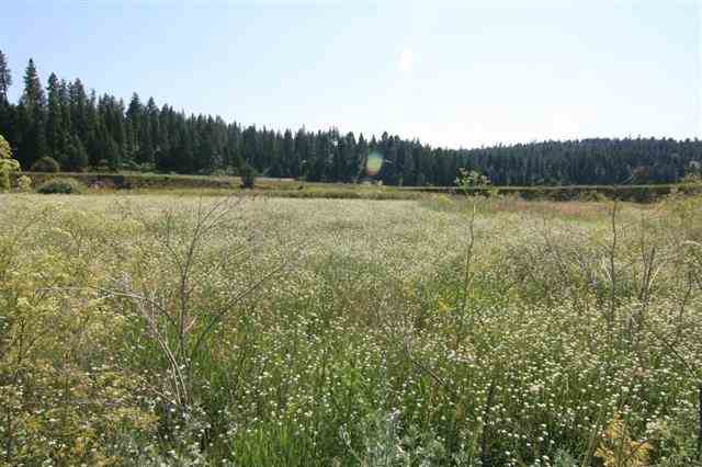 0 South Hangman Valley Road Spokane, WA 99224 - Photo 7 of 19 Gallery Image 7
