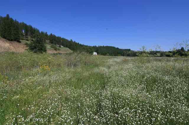 0 South Hangman Valley Road Spokane, WA 99224 - Photo 8 of 19 Gallery Image 8