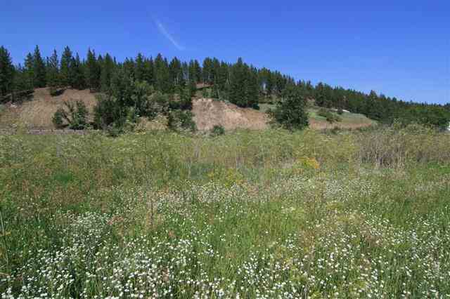 0 South Hangman Valley Road Spokane, WA 99224 - Photo 9 of 19 Gallery Image 9