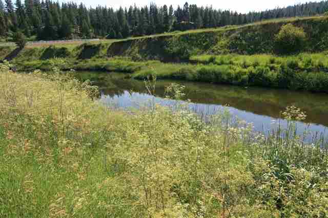 0 South Hangman Valley Road Spokane, WA 99224 - Photo 10 of 19 Gallery Image 10