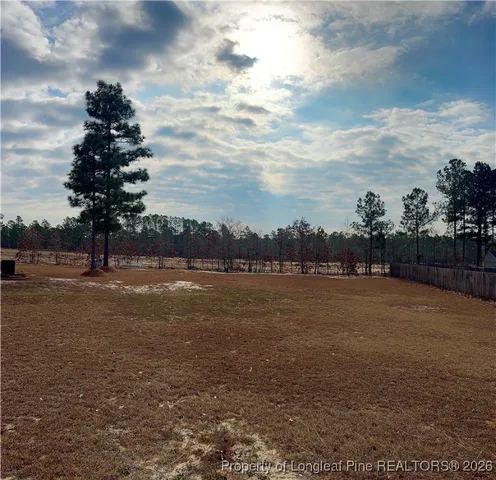 $295,000 | 96 Downing Court, Lillington, NC 27546