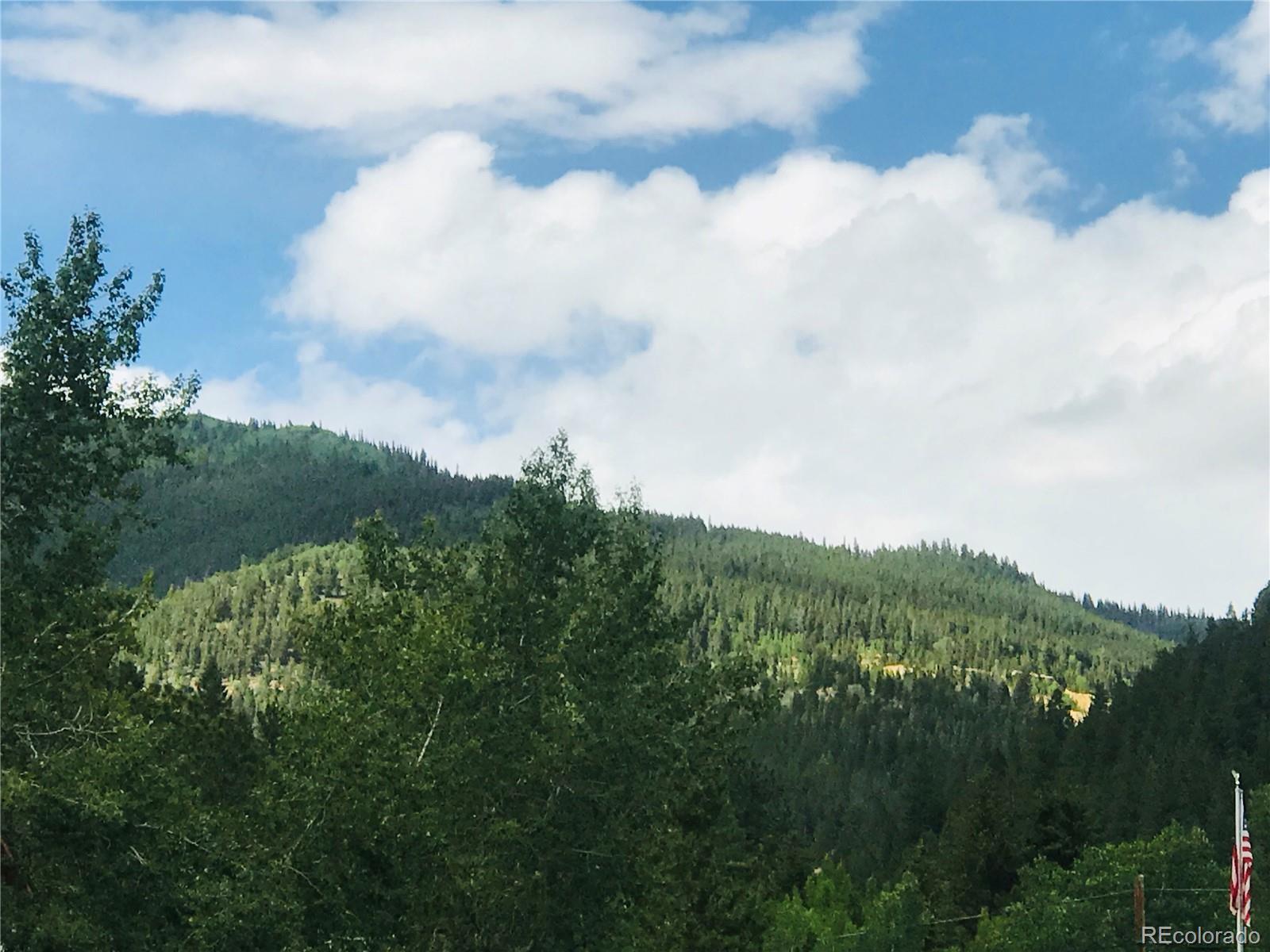 45 Main Street Empire, CO 80438 - Photo 30 of 31