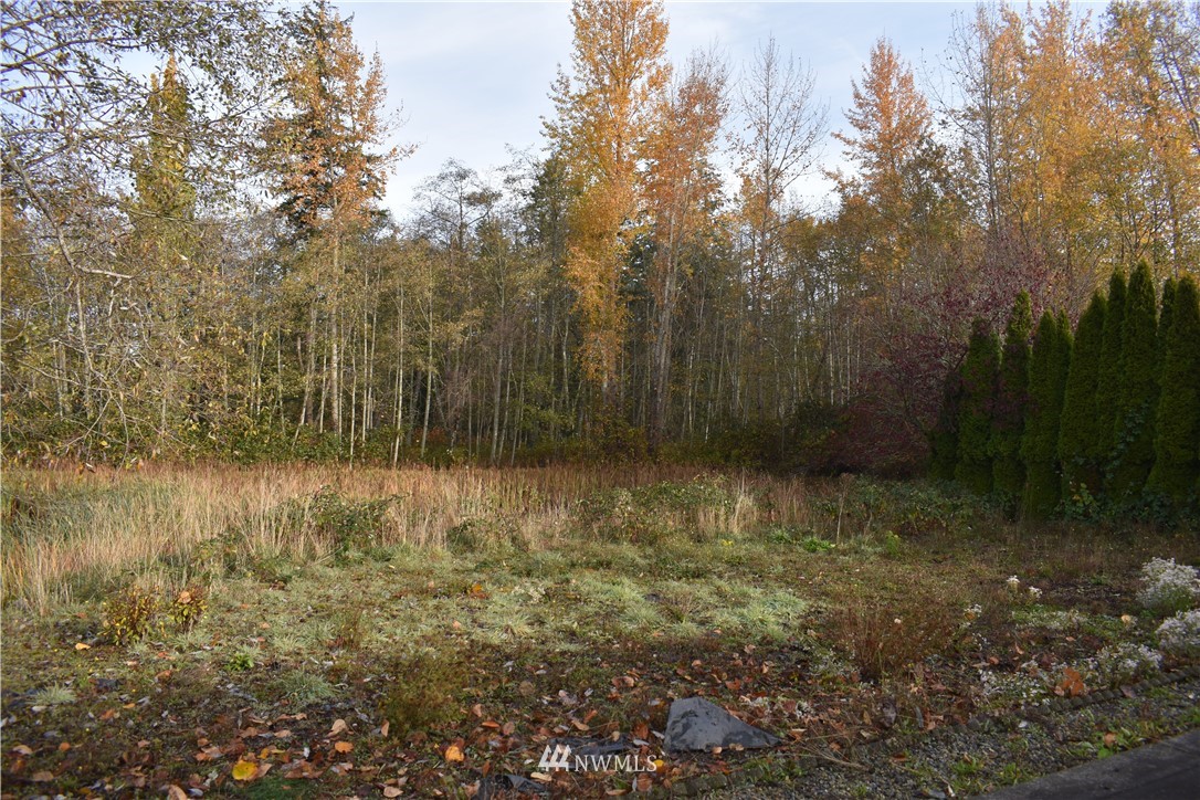 1364 Roma Road Bellingham, WA 98226 - Photo 21 of 22