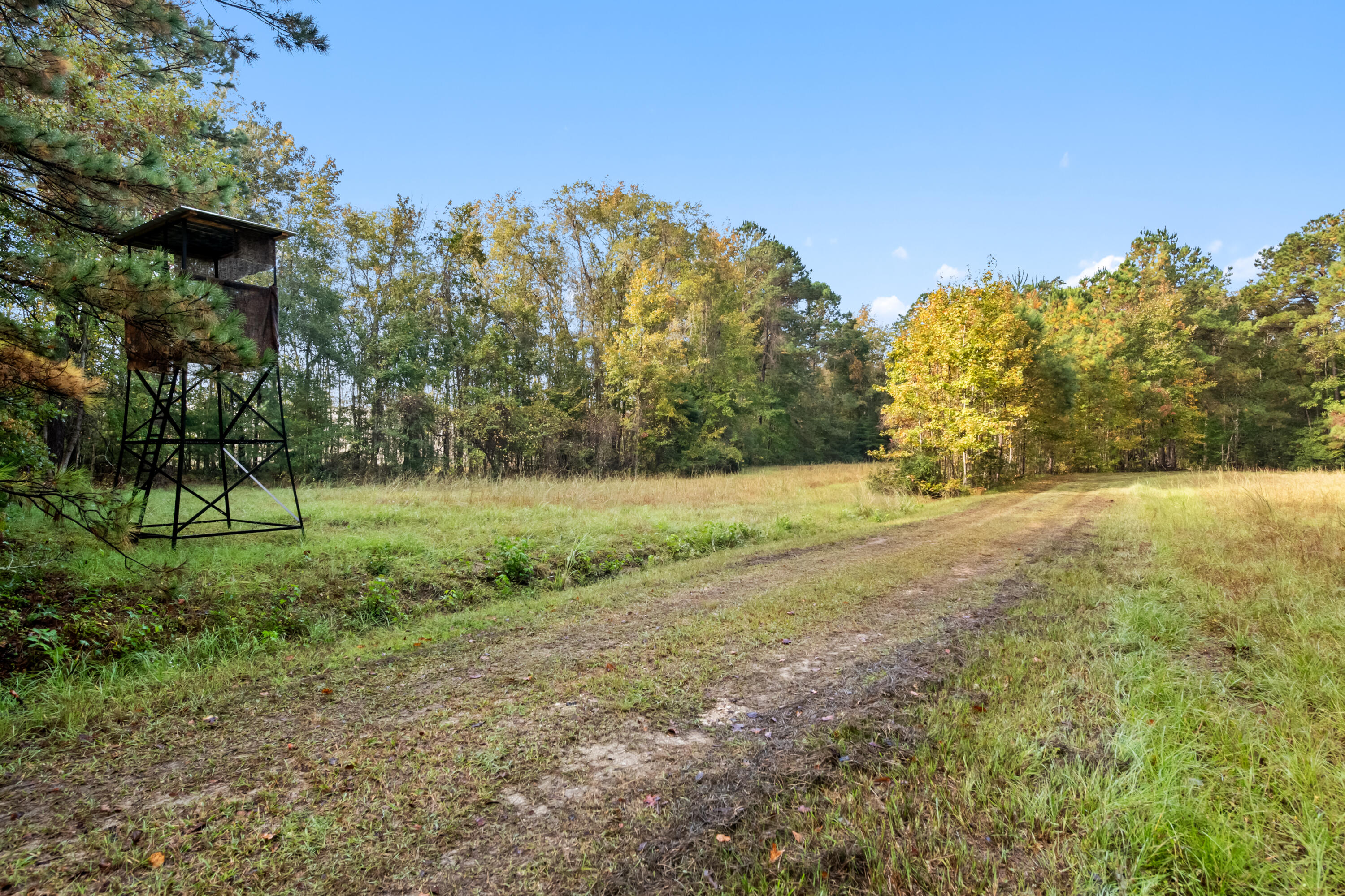 527-acres Spring Grove Road Adams Run, SC 29426 - Photo 1 of 44 HFL_OSBORNE TRACT-7
