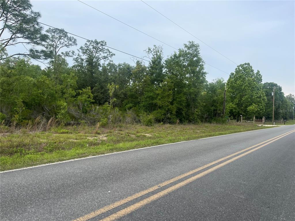Tbd School Street Bronson, FL 32621 - Photo 3 of 6 a view of a yard