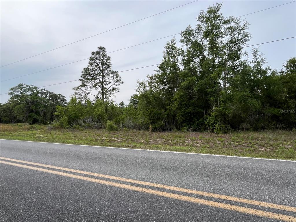 Tbd School Street Bronson, FL 32621 - Photo 4 of 6 a view of a yard and mountain view
