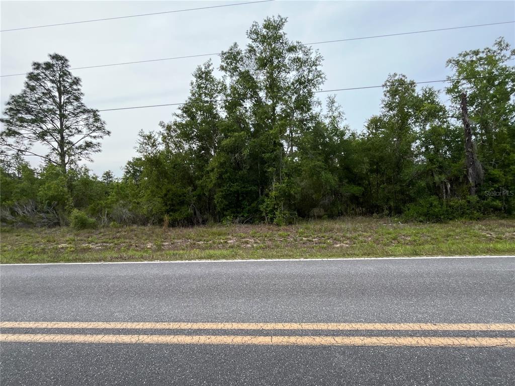 Tbd School Street Bronson, FL 32621 - Photo 6 of 6 a view of a yard