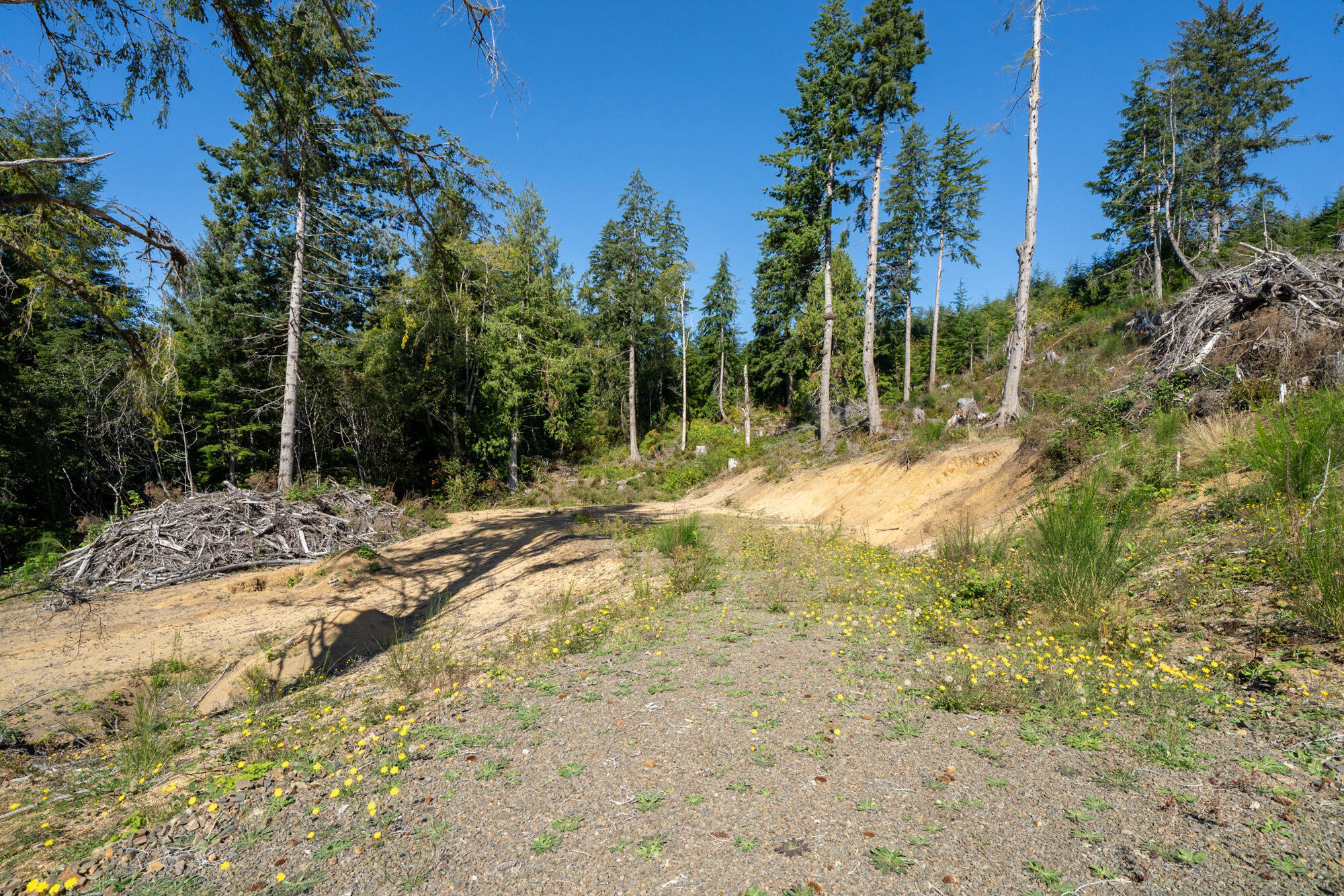 1207 Sandlake Road Cloverdale, OR 97112 - Photo 27 of 33 Road