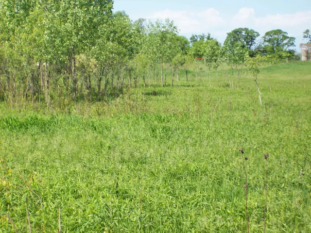 $59,000 | N3780 Fandrich Street, Oxford, WI 53952