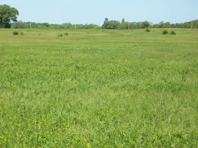 $59,000 | N3780 Fandrich Street, Oxford, WI 53952