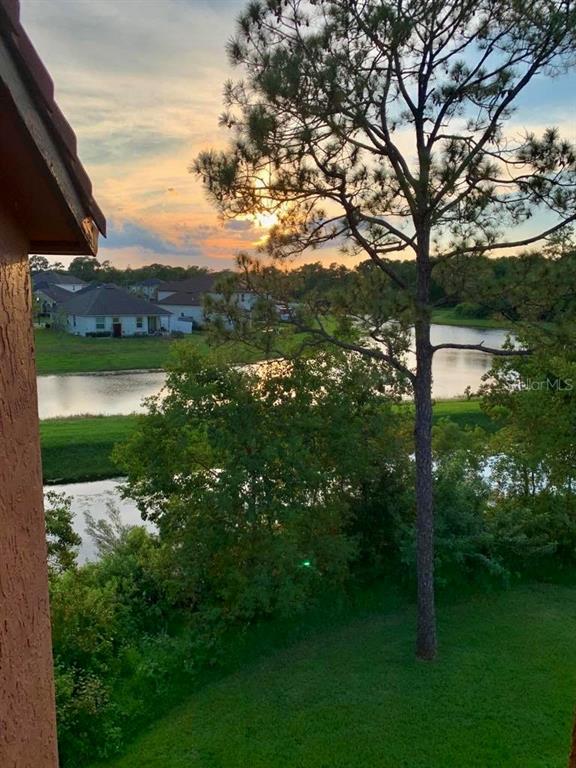 5152 Conroy Road, Unit 35 Orlando, FL 32811 - Photo 13 of 13 a view of a garden with a tree