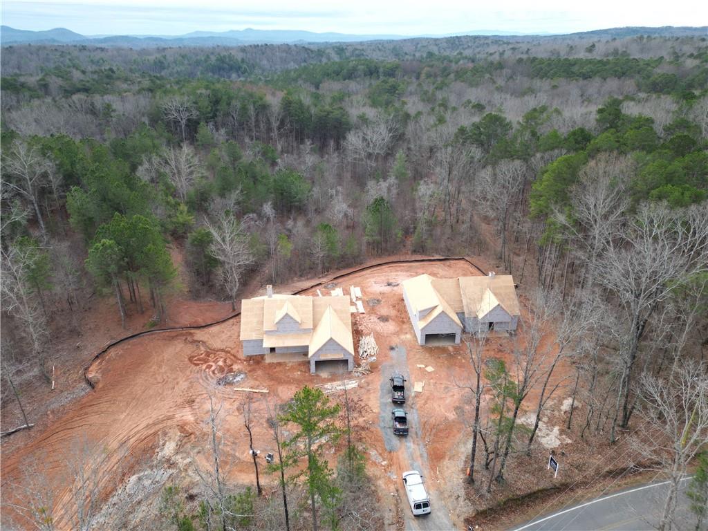 953 Round Top Road Ellijay, GA 30540 - Photo 6 of 11