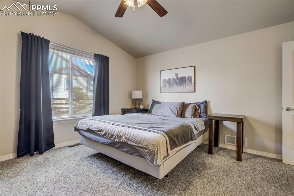 12419 Salmon Point Colorado Springs, CO 80921 - Photo 16 of 40