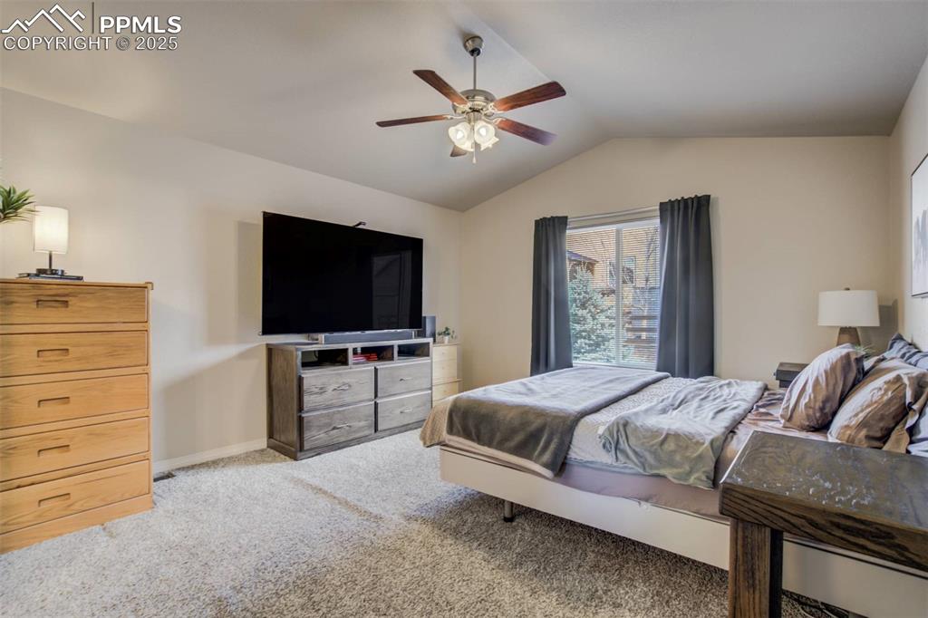 12419 Salmon Point Colorado Springs, CO 80921 - Photo 17 of 40