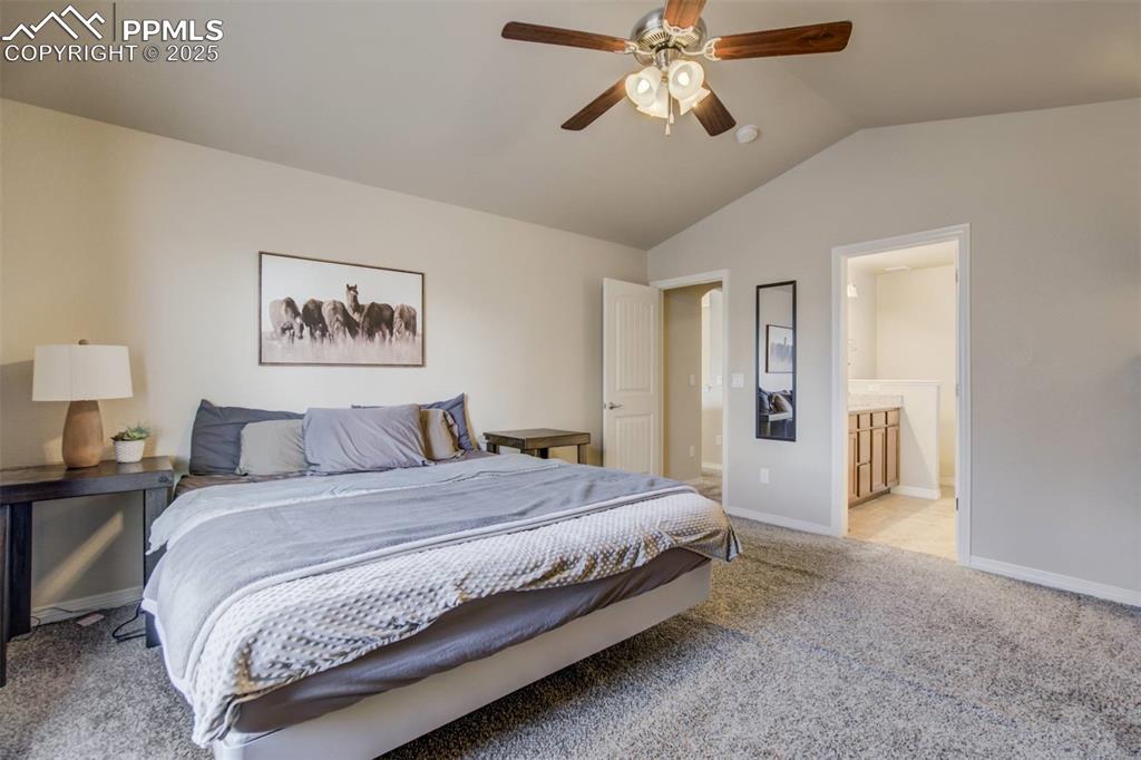 12419 Salmon Point Colorado Springs, CO 80921 - Photo 18 of 40