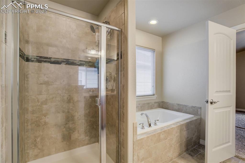 12419 Salmon Point Colorado Springs, CO 80921 - Photo 20 of 40