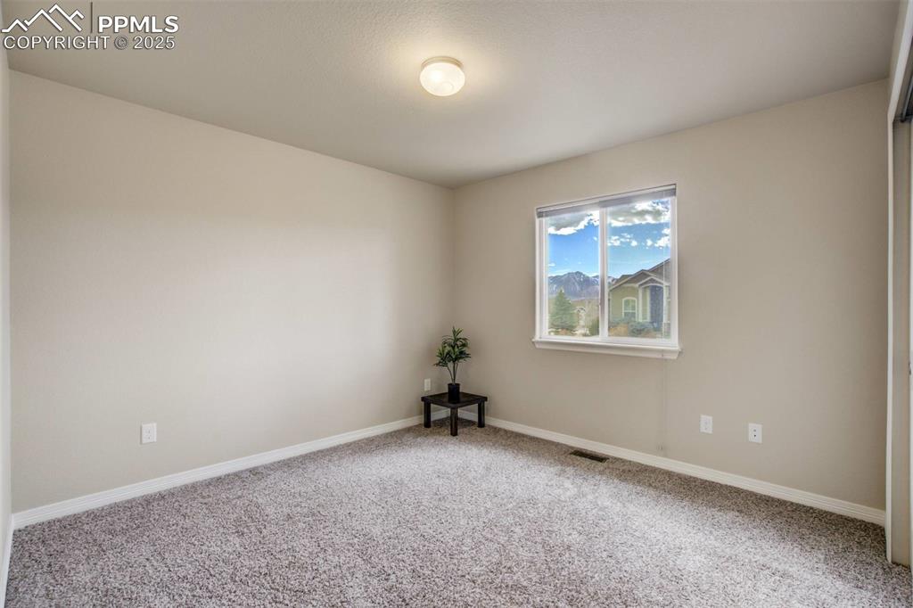 12419 Salmon Point Colorado Springs, CO 80921 - Photo 21 of 40