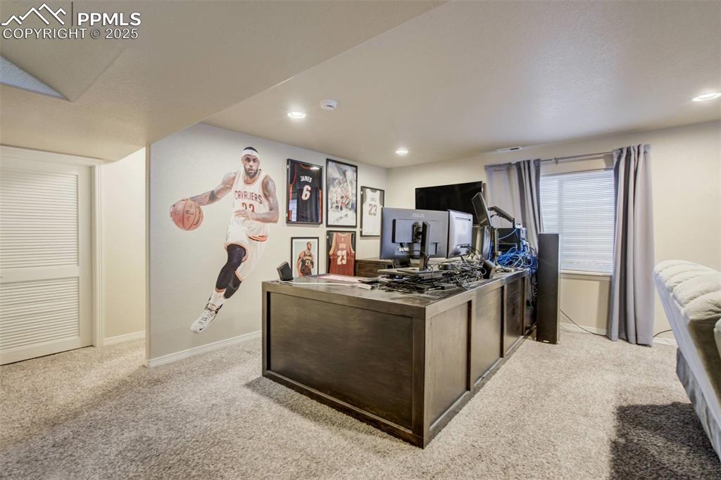 12419 Salmon Point Colorado Springs, CO 80921 - Photo 28 of 40