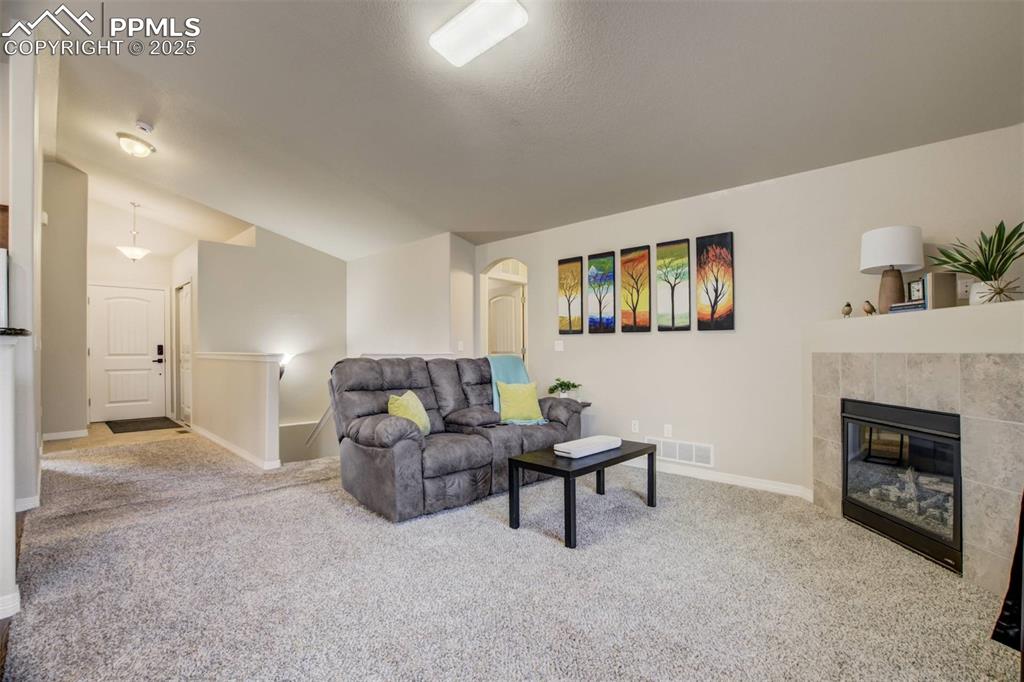 12419 Salmon Point Colorado Springs, CO 80921 - Photo 3 of 40