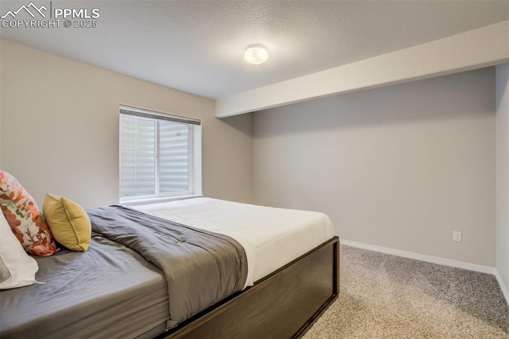 12419 Salmon Point Colorado Springs, CO 80921 - Photo 31 of 40