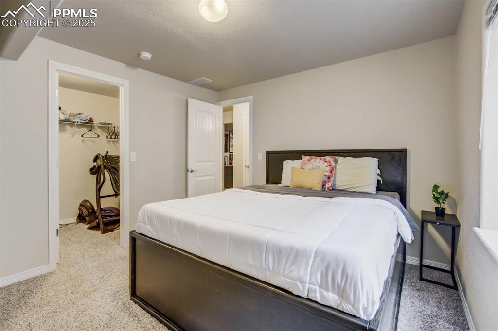 12419 Salmon Point Colorado Springs, CO 80921 - Photo 33 of 40