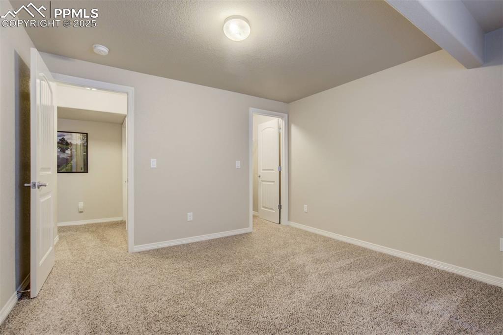 12419 Salmon Point Colorado Springs, CO 80921 - Photo 35 of 40