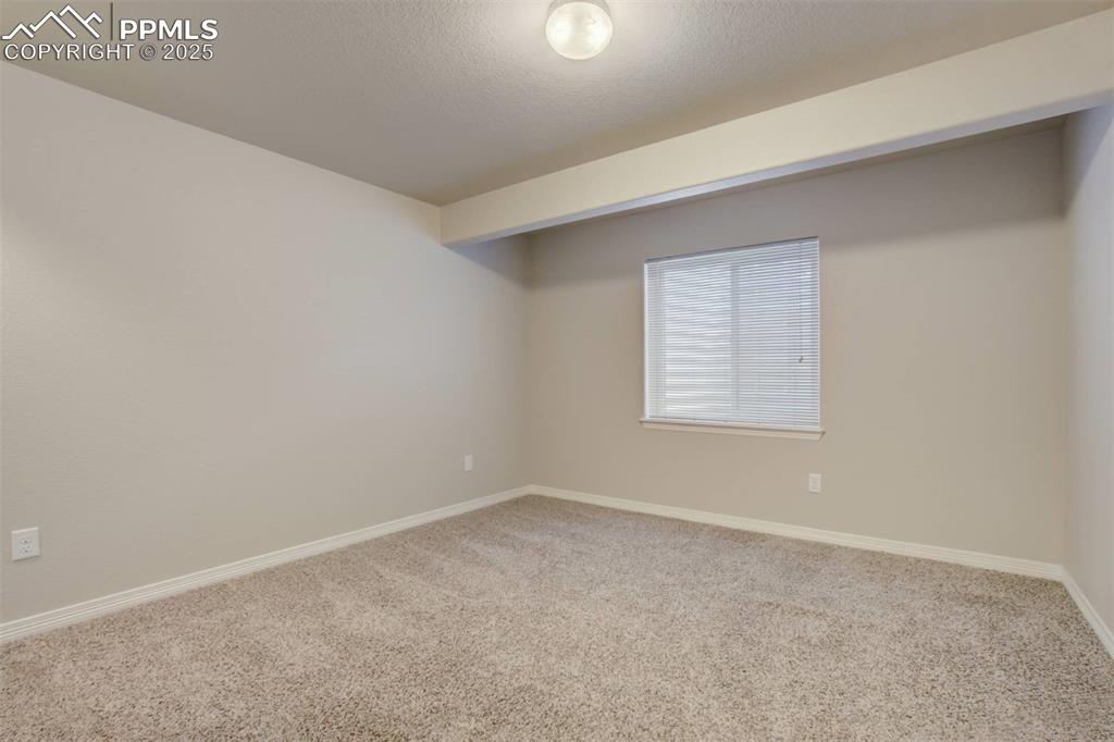 12419 Salmon Point Colorado Springs, CO 80921 - Photo 36 of 40